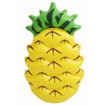 bestway 43159 pineapple