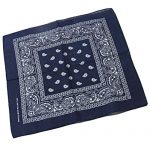 27001 bandana navy