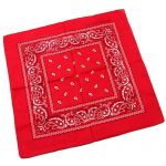 27001 bandana red