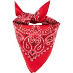 bandana 27001 demeni