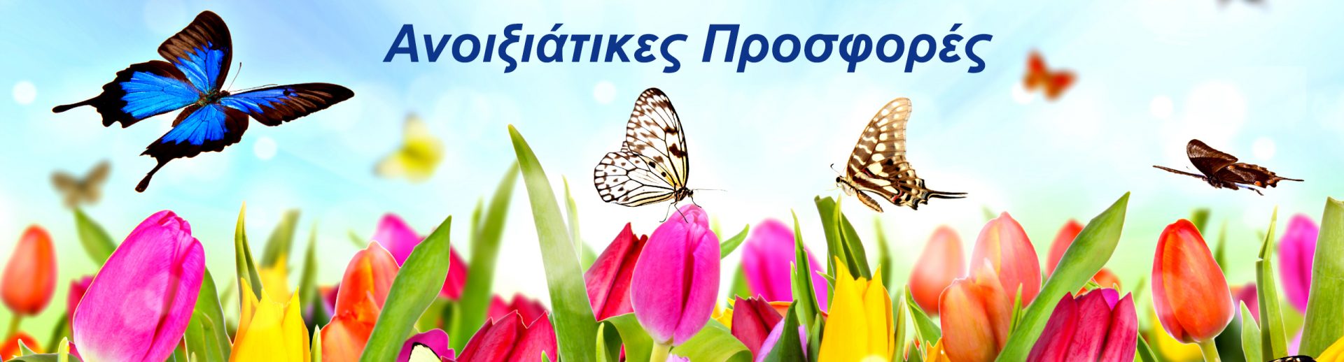 Ανοιξιάτικες Προσφορές crop 2 Ανοιξιάτικες Προσφορές crop 2